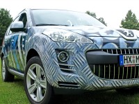 Gockel Peugeot Riffelblech